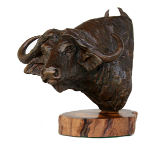 Buffalo portrait bronze